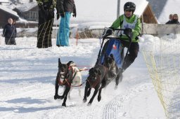Lenk 2012 SM